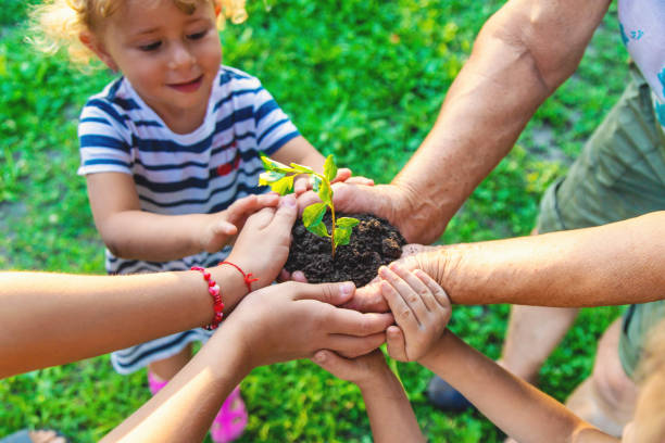istock Grandmother and child hold a tree sprout in their hands. Selective focus. 2167232150