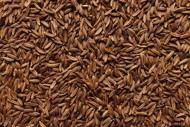 Caraway seeds Carum carvi, macro. Caraway background