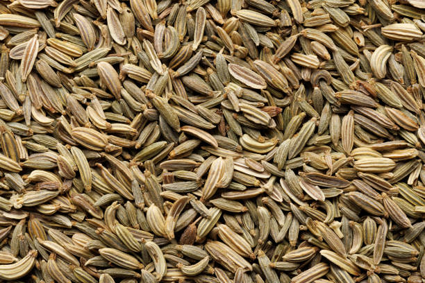 istock Cumin Cuminum cyminum, macro, background 2167232571