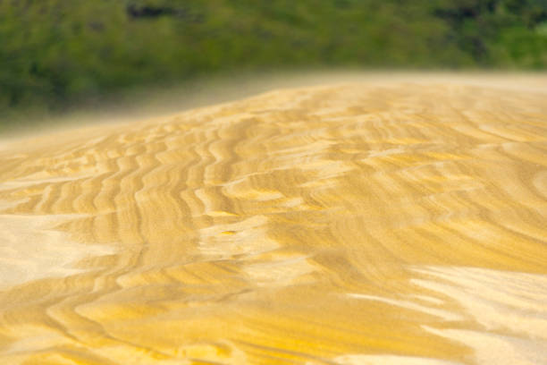Giant Sand Dunes in Cape Reinga - New Zealand