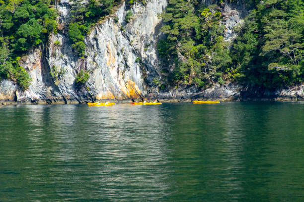 Kayaking in Milford Sound - New Zealand