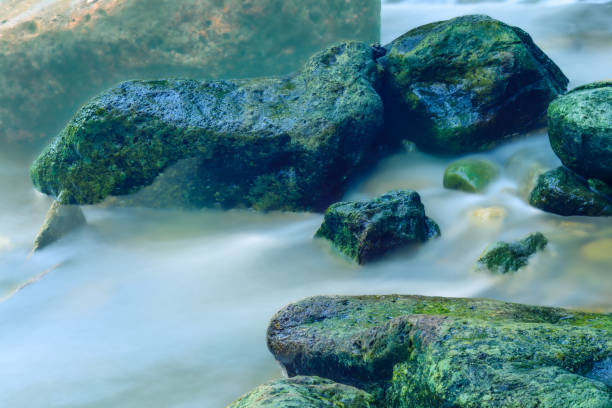 Water flowing through rocks covered by moss in nature at Thailand. Blurry water movement in the stream. Closeup of a mountain stream in the forest.
