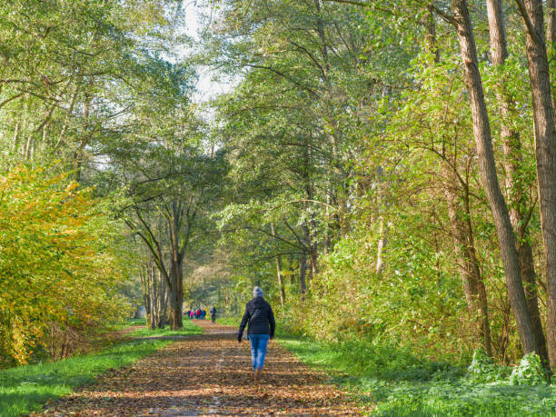 istock Treelined Footpath in autumn 2167236682