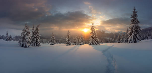 istock Fantastic winter landscape panorama in snowy mountains 2167238724