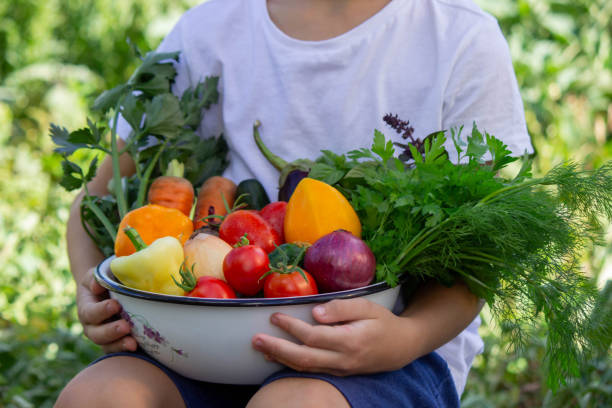 istock boy holds fresh vegetables in a bowl. Selective focus 2167239857