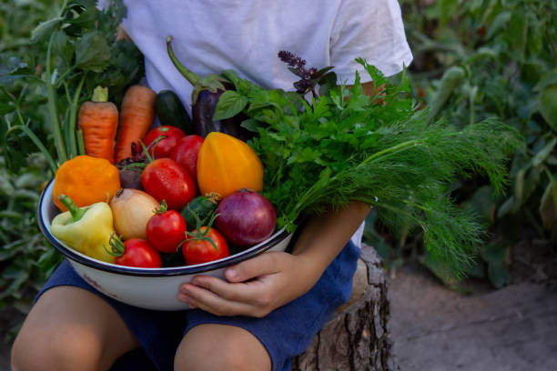 istock boy holds fresh vegetables in a bowl. Selective focus 2167239863