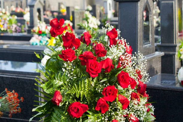 Graveyard, stone tombstones and red carnation flower bouquet on them. Boisaca cemetery, Santiago de Compostela, Galicia, A Coruña province,  Spain.