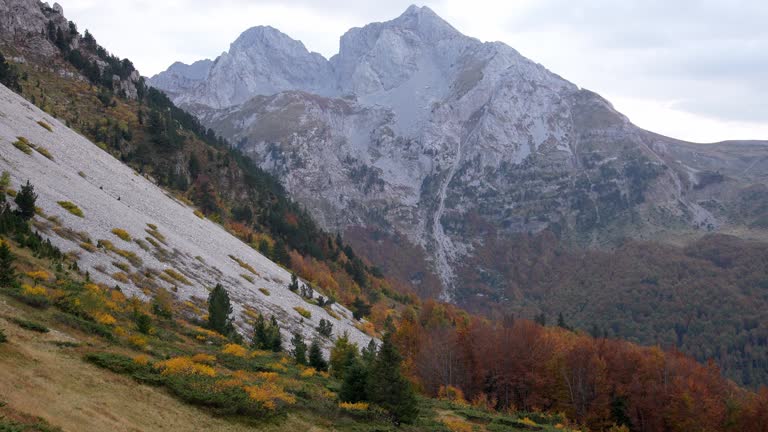 Windy Mountain view showcasing vast slopes with hints of Autumn colors.
