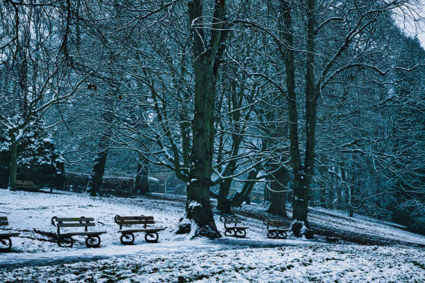 The park bench is covered with snow. It’s a view from the side.