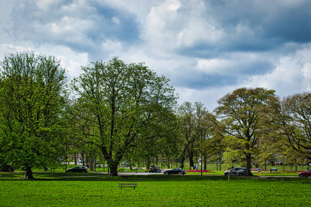 Lush green park with trees and a bench under a cloudy sky, cars parked in the background