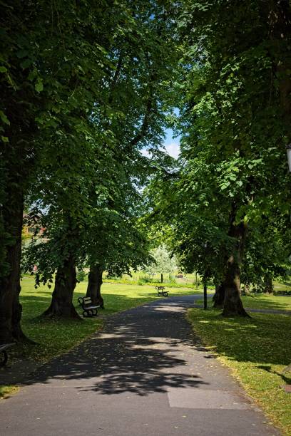 istock Shaded Park Pathway with Benches on a Sunny Day in Harrogate, North Yorkshire 2167249345