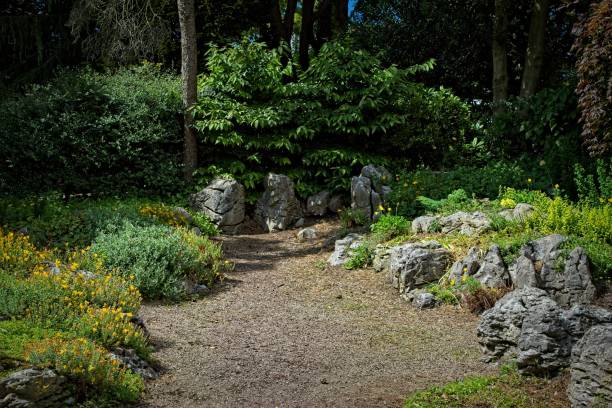 istock Serene garden path with lush greenery and rocks in Harrogate, North Yorkshire 2167249347