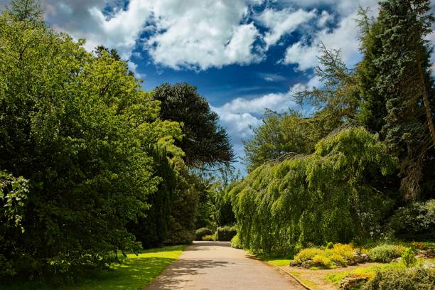 A serene pathway in a lush green park surrounded by various trees and plants under a partly cloudy sky.