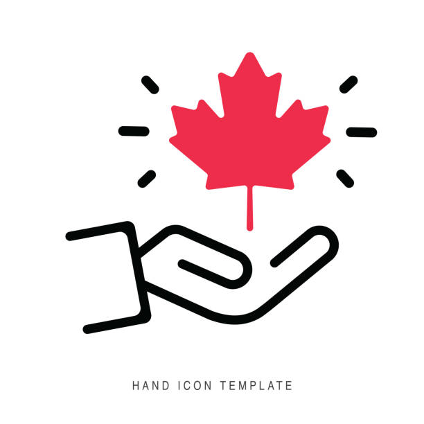 Maple leaf in hand. Icon on white background vector stock illustration This design, which is suitable for use in various projects, can be easily adapted to your needs such as posters, brochures, websites, or advertisements. Thanks to its eye-catching design and versatility, it can effectively convey your message and attract viewers' attention. Whether you want to promote a product or service or simply make a statement, this design is a great choice. canada-flag-line stock illustrations