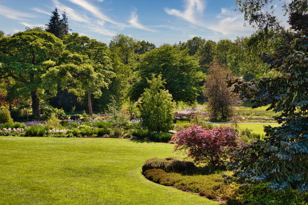 istock Beautiful Garden Landscape with Lush Greenery 2167250764