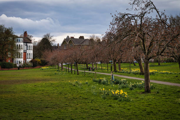 Suburban scene of a street in London with green space and trees