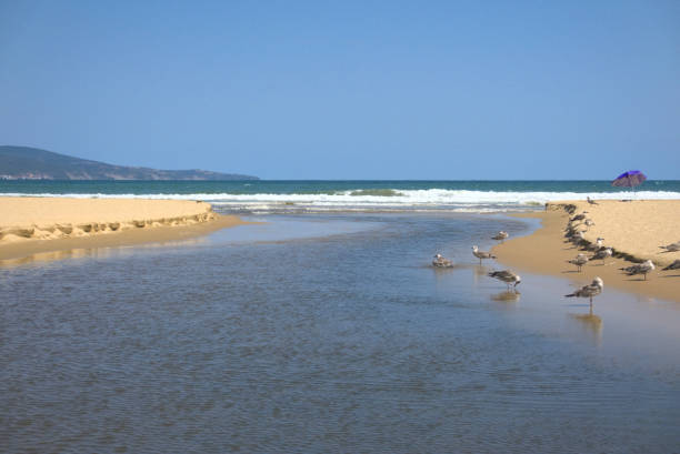 Delta of a stream flowing into the sea through the sandbank.