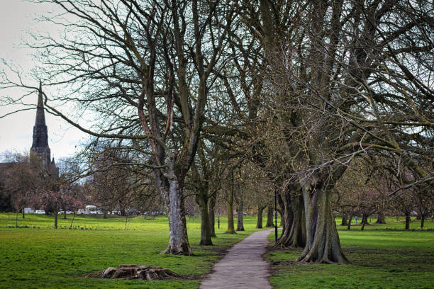 istock Serene park pathway lined with bare trees leading towards a distant church spire, with lush green grass and a tranquil atmosphere, suitable for themes of nature, peace, and solitude in Harrogate, North Yorkshire. 2167252197