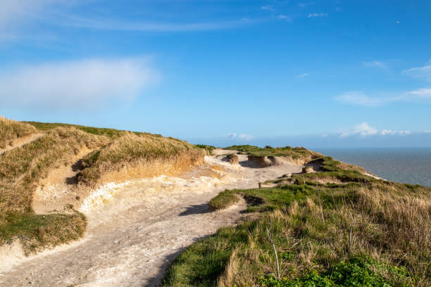 istock Coastal landscape with sandy dunes and a clear blue sky on a sunny day. 2167253305