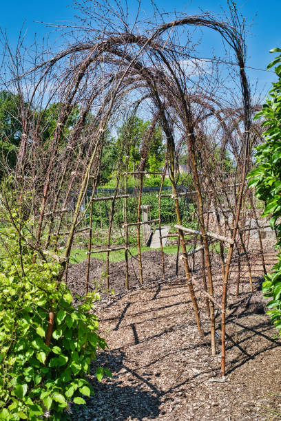 istock Garden archway made of intertwined branches 2167253707