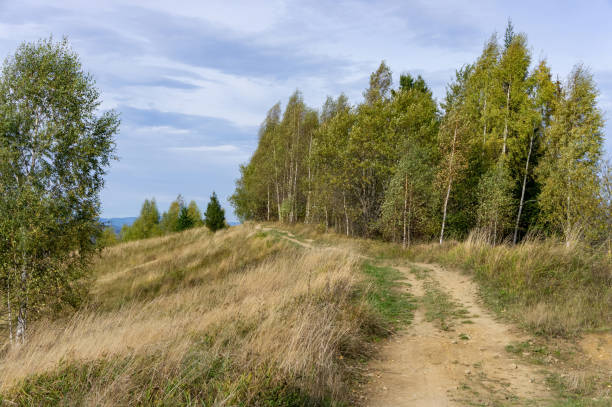 A beautiful panoramic view of a mountain landscape with autumn colors spreading across the forested hills. The foreground features a grassy slope with trees transitioning from green to shades of yellow, orange, and red. The distant mountain ranges are layered with various hues of blue and purple, with a hint of snow-capped peaks under a partly cloudy sky. The scenery evokes a sense of tranquility and natural beauty, perfect for nature-inspired projects, outdoor publications, or seasonal campaigns.