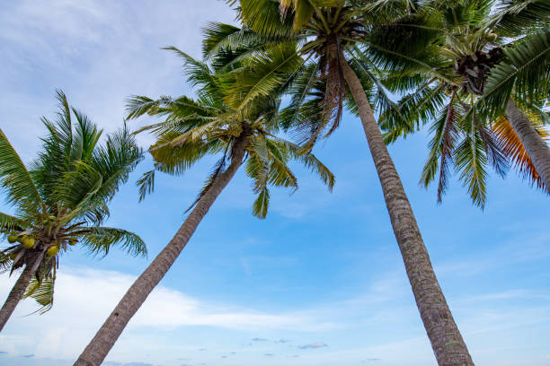 istock Beautiful nature sea summer background,Sand beach 2167255245