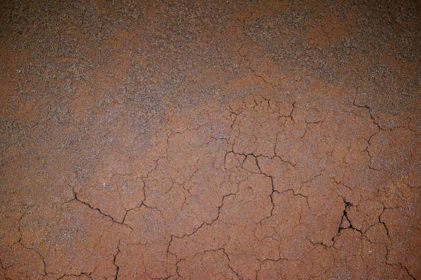 Cracked dry earth during a drought, showing the effects of extreme heat and water shortage in an arid region. Climate change and environmental degradation concept.