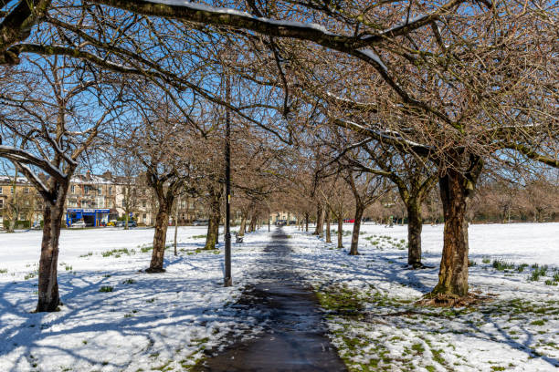 istock Winter scene with a pathway lined by bare trees and snow-covered ground under a clear blue sky in Harrogate, North Yorkshire, UK. 2167257703