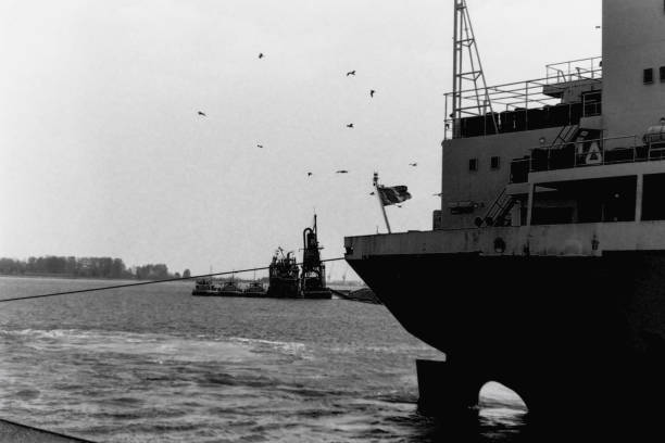 istock Harbor of Antwerp 2167259762