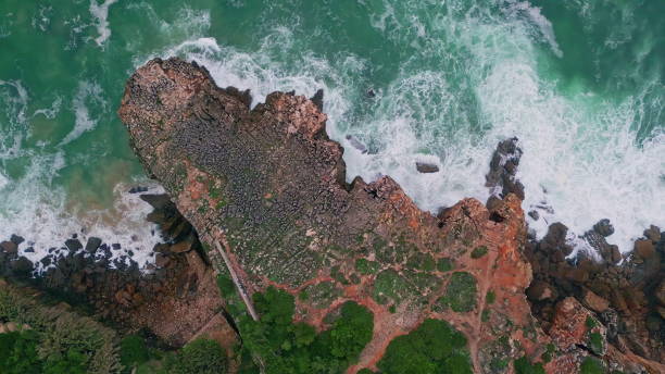 istock Stormy sea water breaking rough coastal cliffs top view. Beautiful ocean waves 2167259829