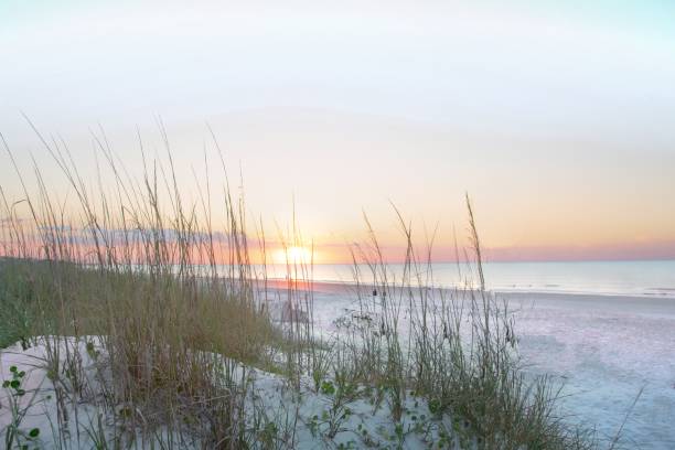istock Beach Sunrise-Hilton Head, South Carolina 2167262113