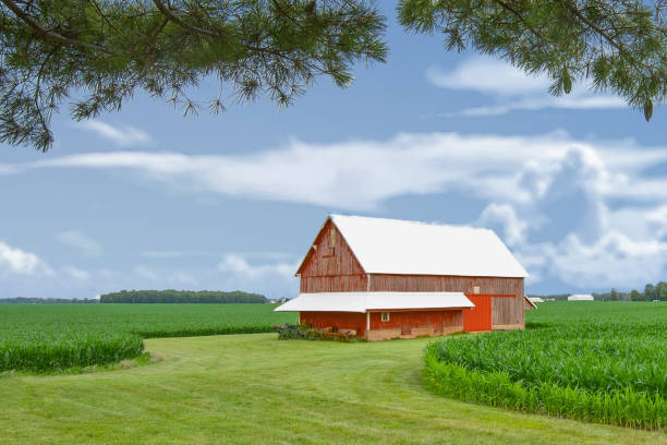 istock Old Red Barn in a cornfield-Tipton County, Indiana 2167262146