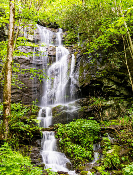 istock Seasonal Waterfall on Cliffside on The Roaring Fork Motor Nature Trail 2167264795