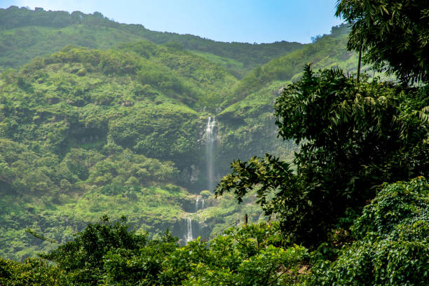 istock Waterfall at Tamhini ghat 2167265773