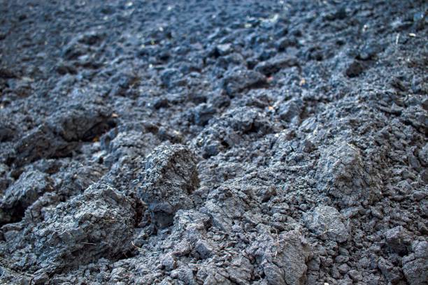 istock Black soil texture background. Close-up of black soil surface. 2167266317