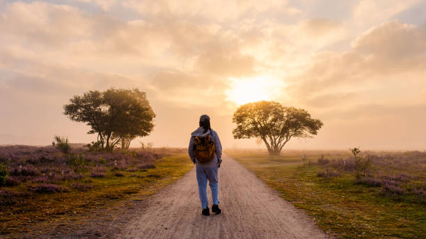 istock A tranquil stroll through blooming heather fields at Veluwe Zuiderheide in the Netherlands 2167271391