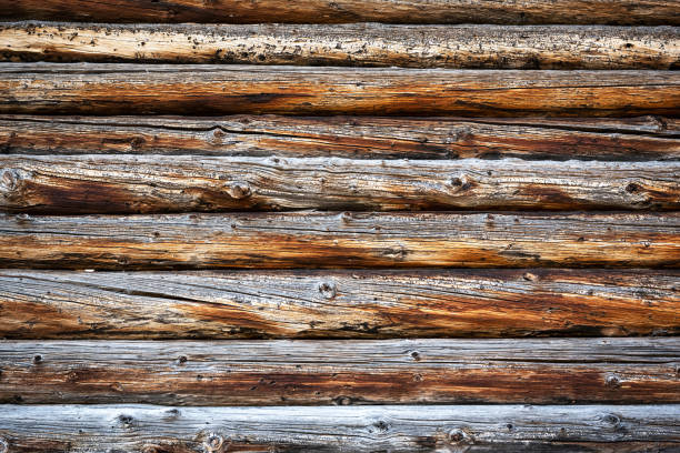 Naturally aged wooden oak logs background. Natural wood texture. Can be used like nature background