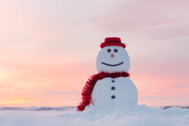 istock Funny snowman in black hat 2167271866