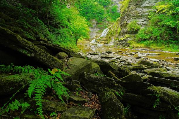 istock Lucifer Falls Robert H Treman State Park New York 2167274435