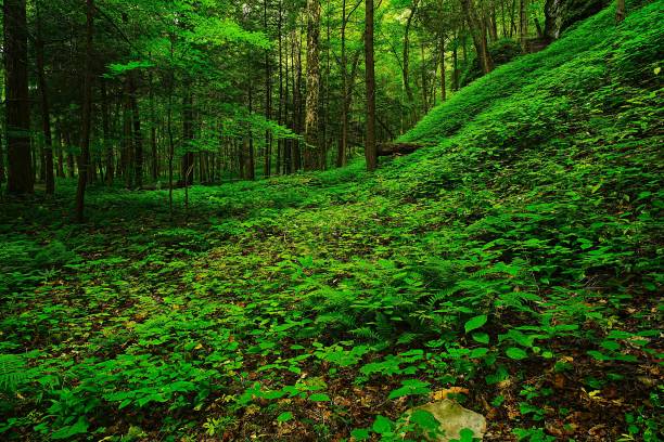 Ontario, Canada.