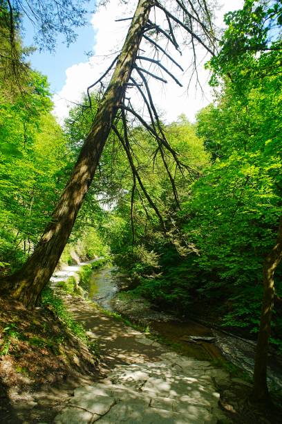 istock Stony Brook State Park New York 2167274525