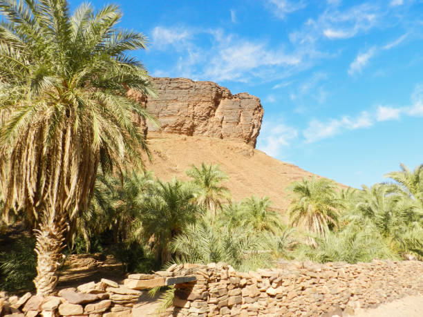 istock Terjit Oasis in Mauritania 2167274859