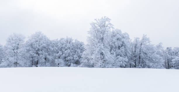 istock Minimalistic winter landscape in cloudy weather 2167275825