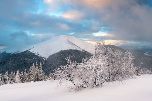 istock Fantastic winter landscape panorama in snowy mountains 2167276569
