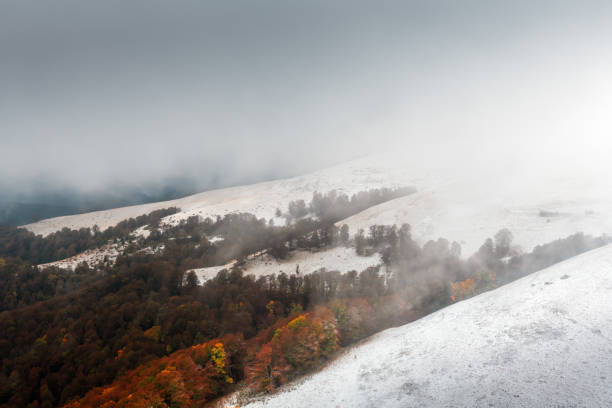 Amazing scene on autumn mountains. First snow and orange trees in fantastic morning fog. Carpathians, Europe. Landscape photography