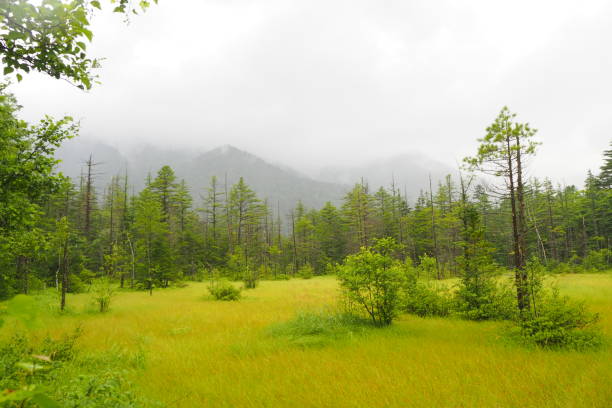 istock Natural beauty in Kamikochi 2167277003