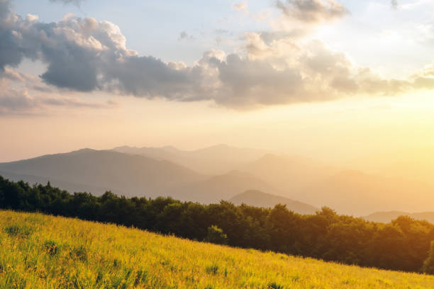 istock Amazing scene on summer mountains 2167281075
