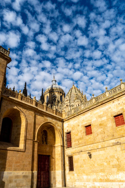 istock Salamanca Cathedral, Spain 2167282725