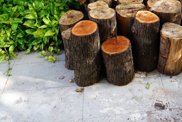 The wood was cut and piled for preparing moving.