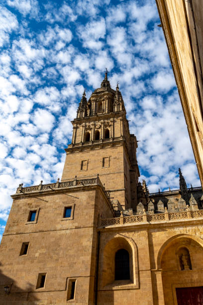 istock Salamanca Cathedral, Spain 2167282774